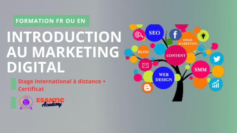 Marketing Fundamentals: Introduction into Digital Marketing
